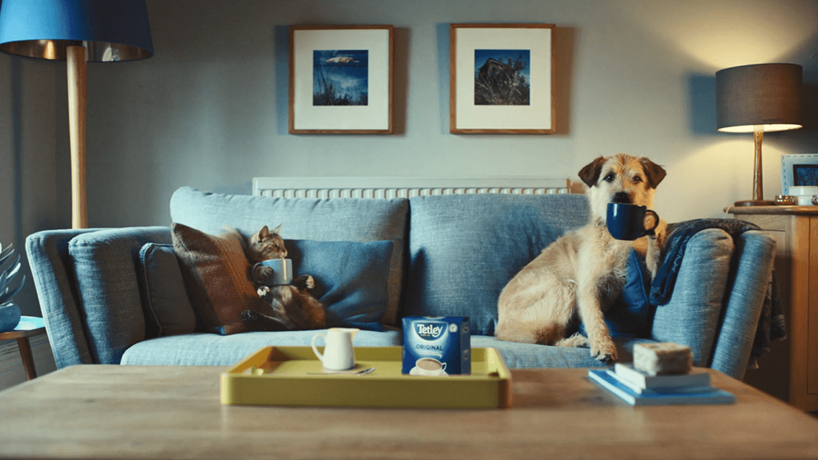 Now were talking. Talking Dog. Now you're talking. Cat advertising. Now we are talking